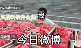 吃瓜爆料视频软件下载免费,免费下载，畅享海量爆料视频！